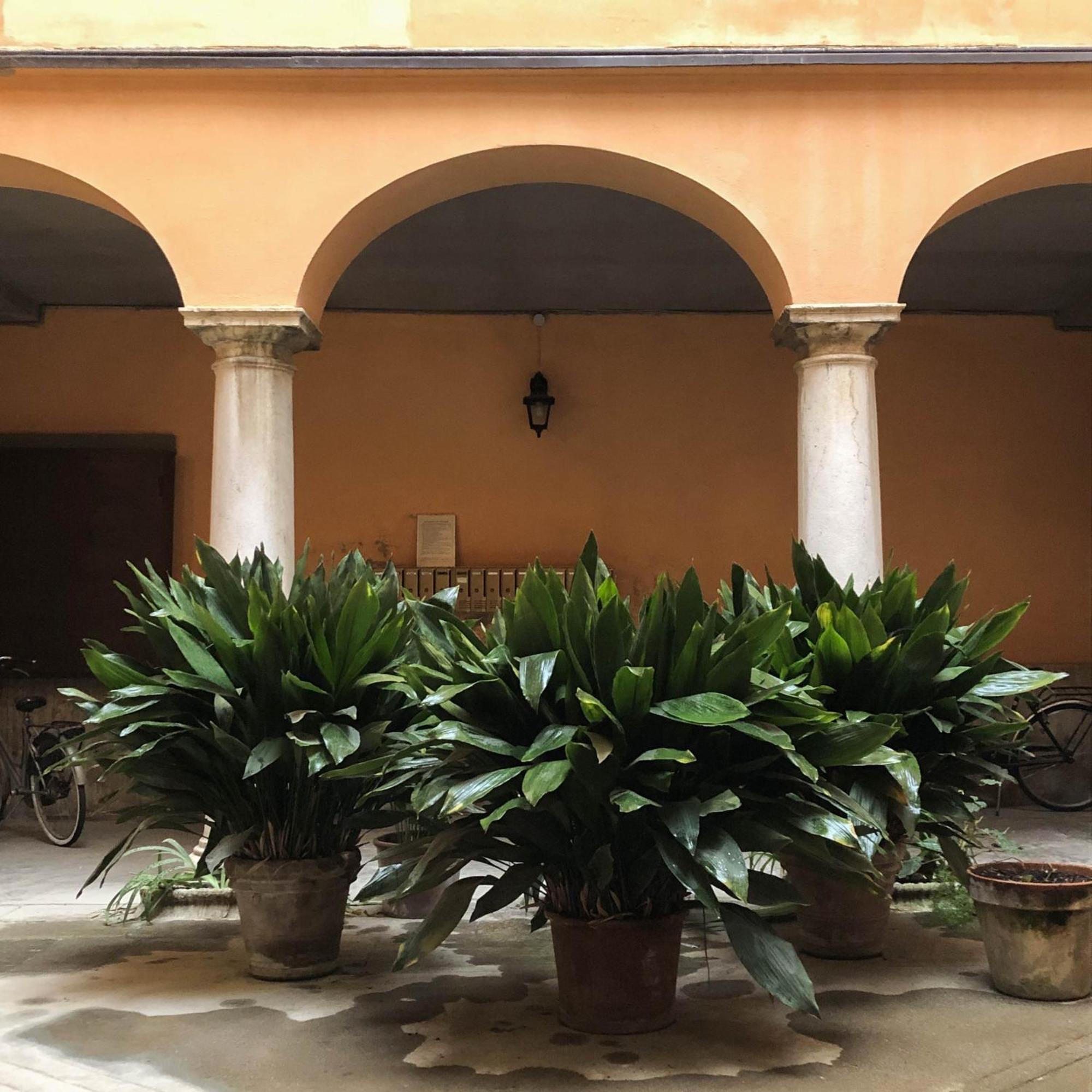 Casa Giulietta Appartement Cremona Buitenkant foto